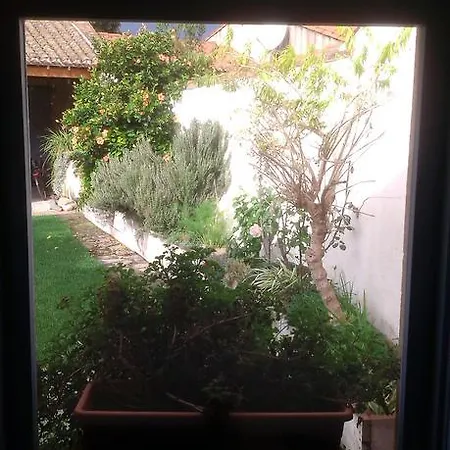 6 In Sa Cora Oda ve Kahvaltı